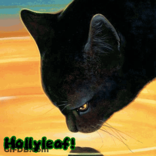Black Cat With Hollyleaf GIF