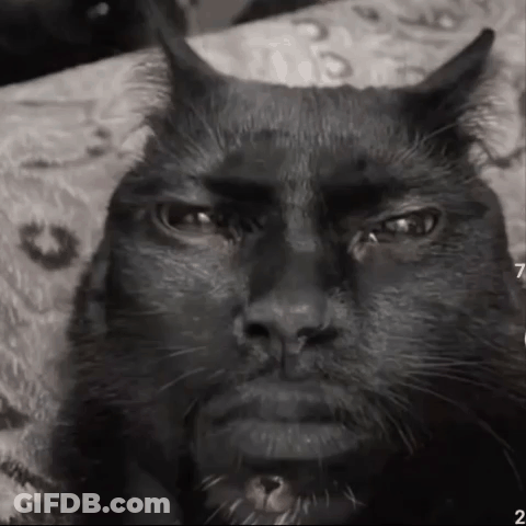 Black Cat With Horns And Beard Laying On Bed GIF
