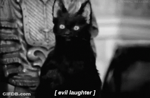 Black Cat With Horns Evil Laughter GIF