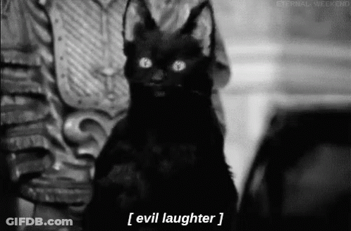 Black Cat With Horns Held By Person Saying Evil Laughter GIF