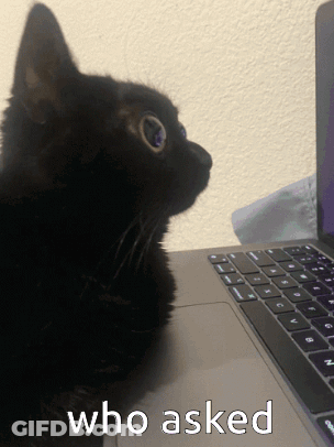 Black Cat With Laptop Saying Who Asked GIF
