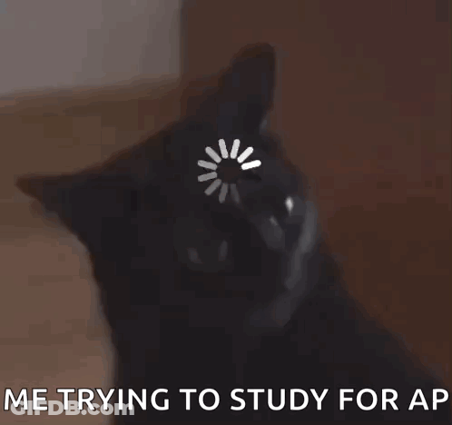 Black Cat With Loading Circle Me Trying To Study For AP GIF