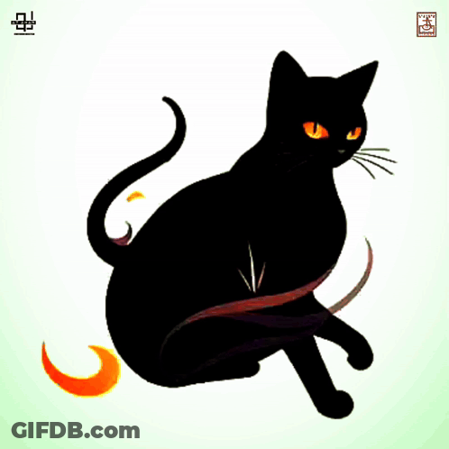 Black Cat With Orange Eyes GIF
