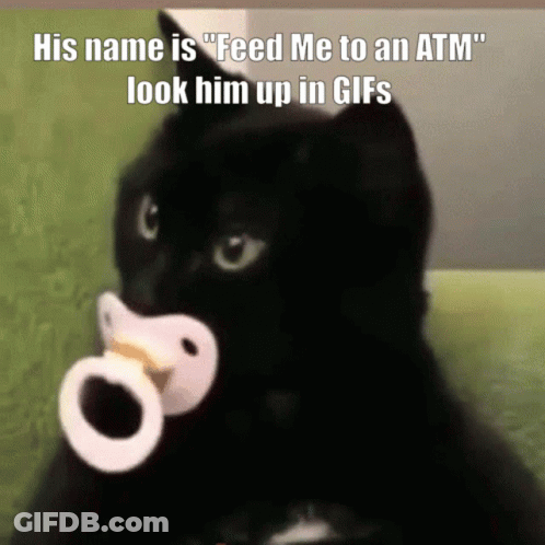 Black Cat With Pacifier Saying Feed Me To An ATM GIF