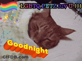 Black Cat With Pink Ears Sleeping GIF