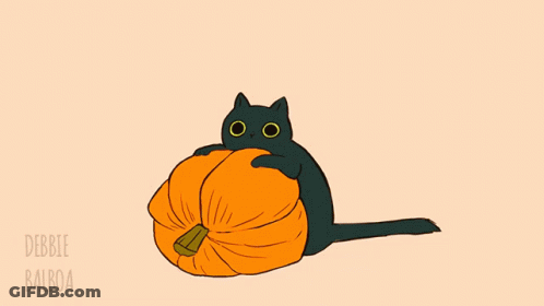 Black Cat With Pumpkin On Head By Debbie Balboa GIF