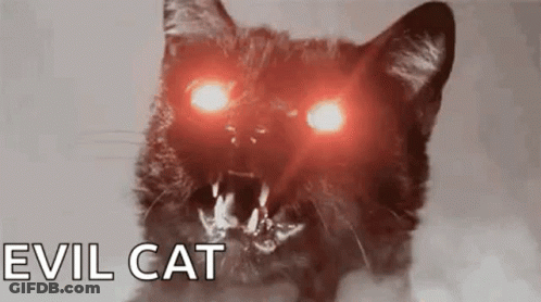 Black Cat With Red Eyes And Sharp Teeth GIF