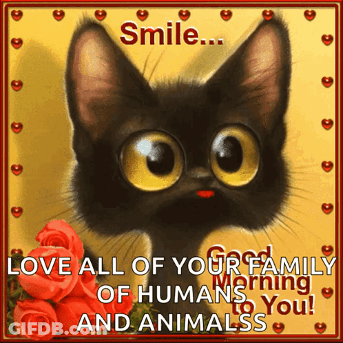 Black Cat With Smile Love All Your Family GIF