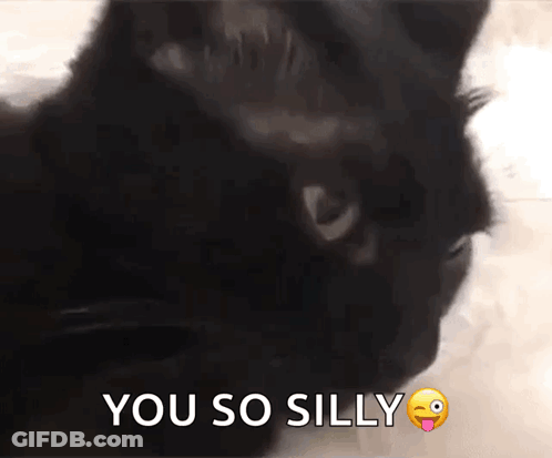 Black Cat With Tongue Out Saying You So Silly GIF