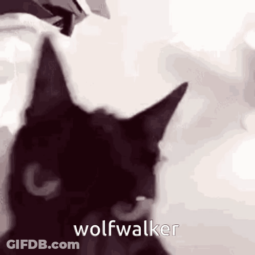 Black Cat With Wolfwalker Text GIF