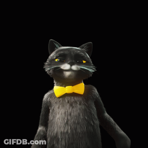 Black Cat With Yellow Bow Tie GIF