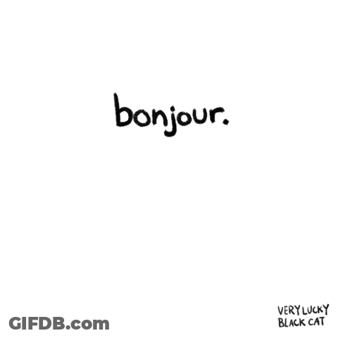 Black Cat Yellow Eyes Bonjour On Head GIF