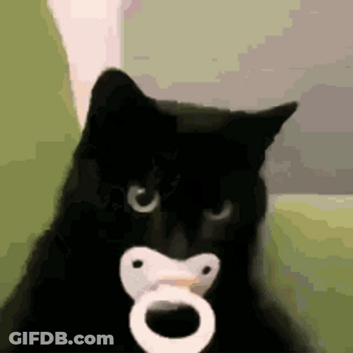 Black Cool Cat Sucking Pacifier GIF