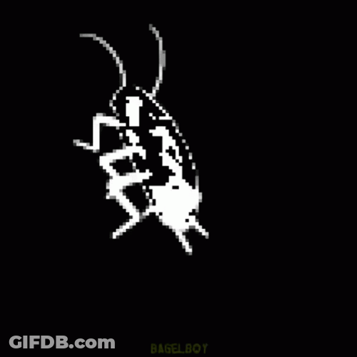 Black Dancing Cockroach GIF