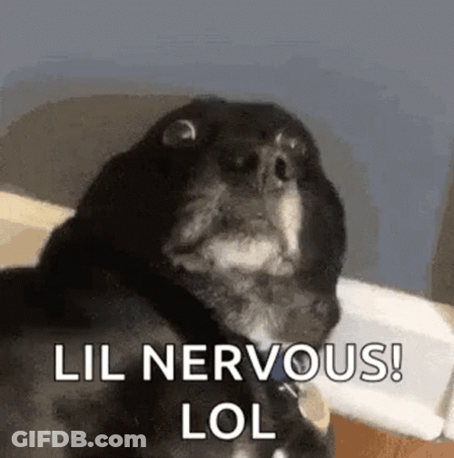 Black Dog Avoid Eye Contact Nervous Meme GIF
