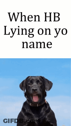Black Dog Blue Sky Saying When HB Lying On Yo Name GIF