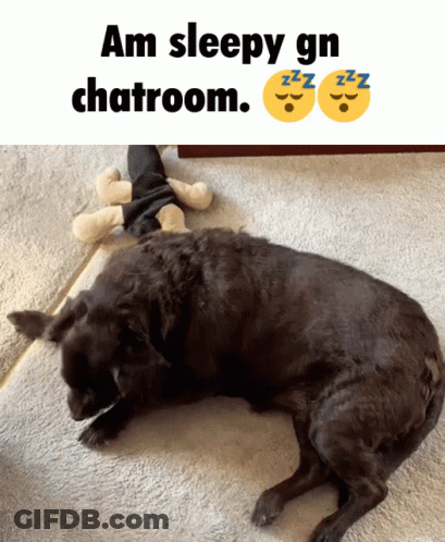 Black Dog Laying Next To Stuffed Animal Saying Am Sleepy Gn Chatroom GIF