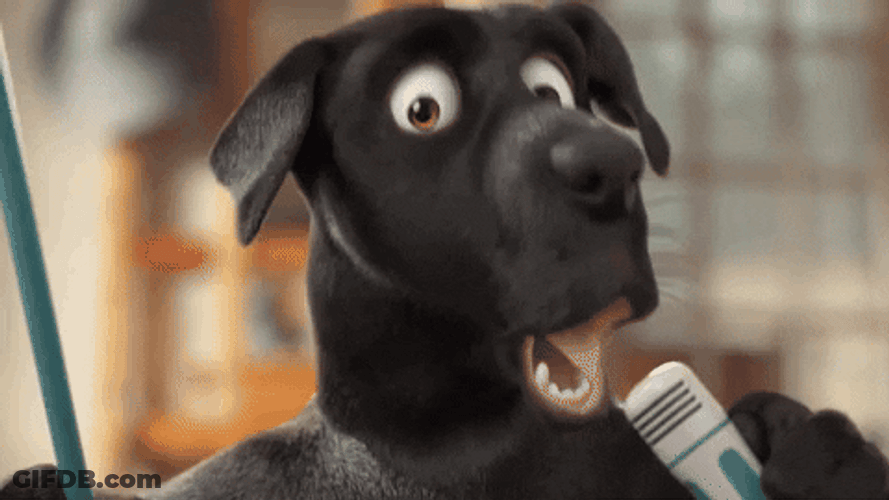 Black Dog Mic Drop Dancing GIF