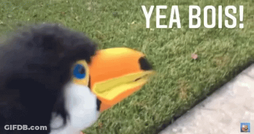 Black Dog Next To Toy Toucan Yea Bois GIF