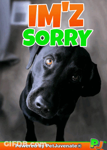 Black Dog Saying Im 'Z Sorry GIF