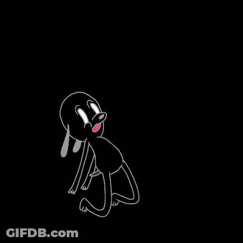 Black Dog Spinning In The Air GIF