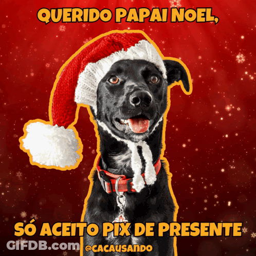 Black Dog Wearing Santa Hat GIF