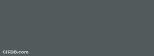 Black Dragon Flying Through Air GIF