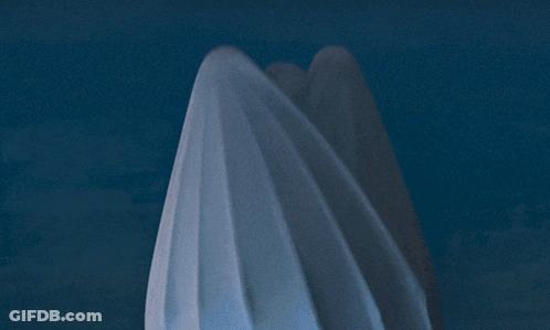 Black Dragon Holding White Dragon In Dark GIF