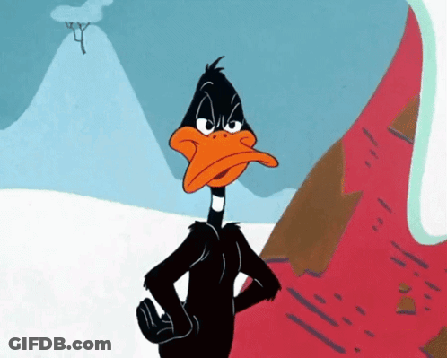Black Duck With Orange Beak In Snowy Mountain GIF