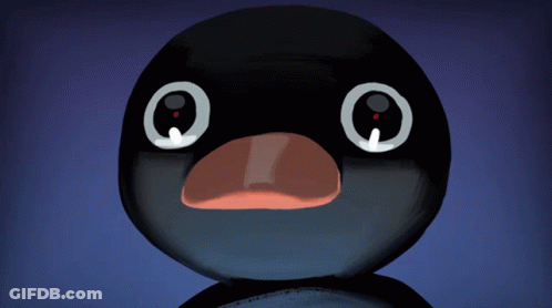 Black Duck With White Eyes GIF