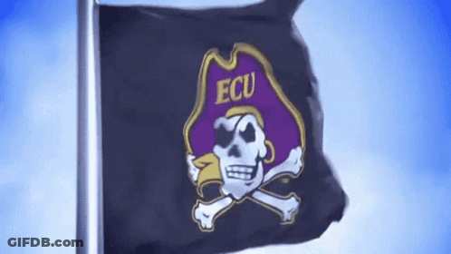 Black Flag With Skull And Crossbones Saying Ecu GIF