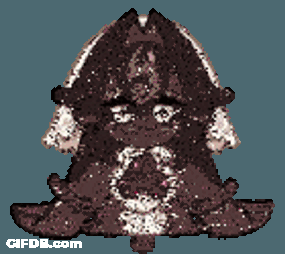 Black Forest Cookie Crk Sticker GIF