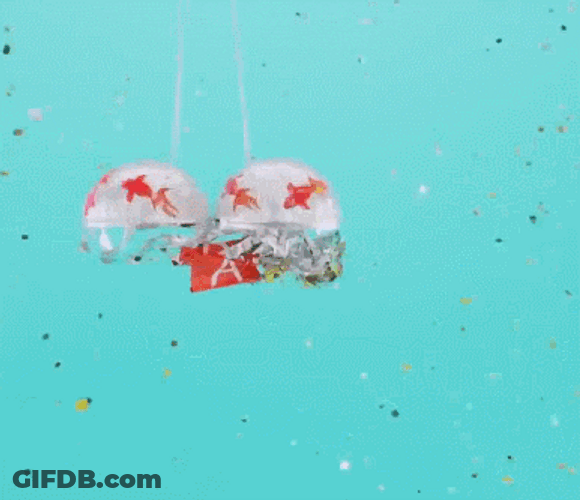 Black Friday Bargain Day Celebration GIF