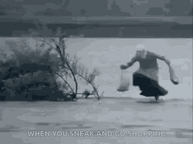 Black Friday Sneaky Shopping GIF