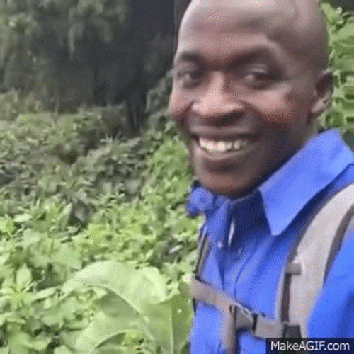 Black Guy In The Forest Okay Meme GIF