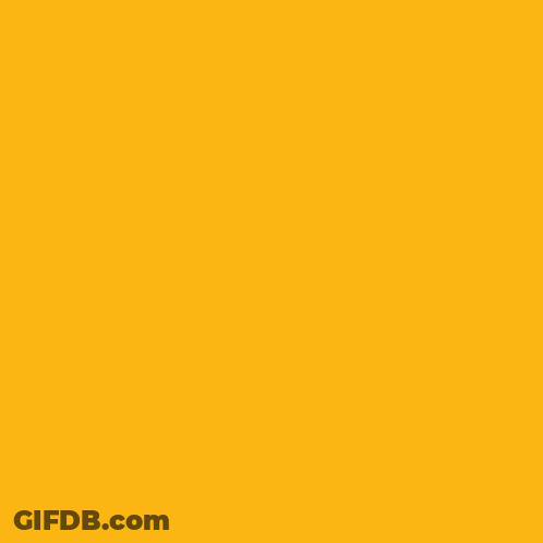 Black Hexagon With White Border GIF