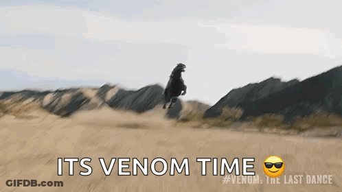 Black Horse Jumping In Desert GIF