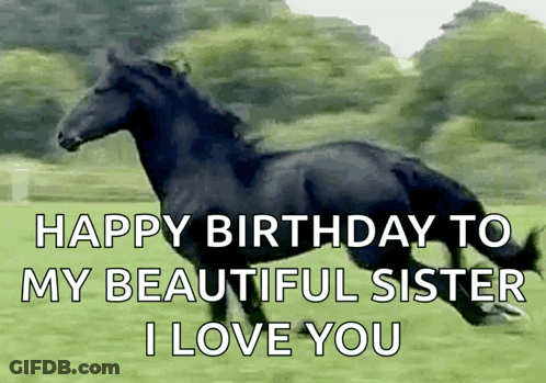 Black Horse Running Happy Birthday To My Beautiful Sister I Love You GIF