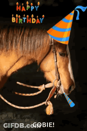 Black Horse Running Happy Birthday To My Beautiful Sister I Love You GIF