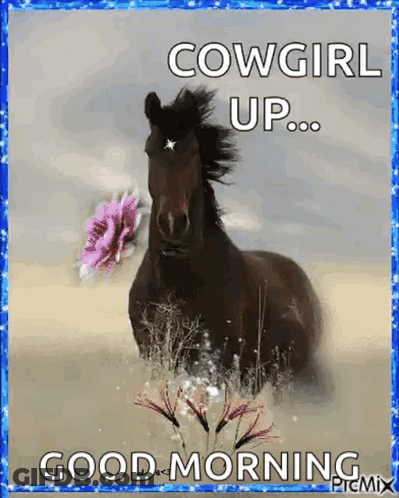 Black Horse With Pink Flower Saying Cowgirl Up Good Morning GIF
