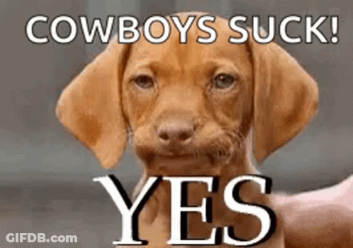 Black Horse With Pink Flower Saying Cowgirl Up Good Morning GIF