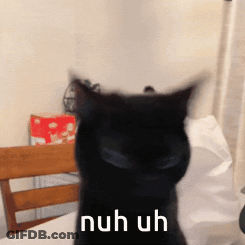 Black Huh Cat Meme GIF