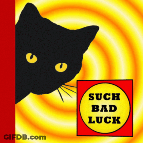 Black Kitten Bad Luck GIF