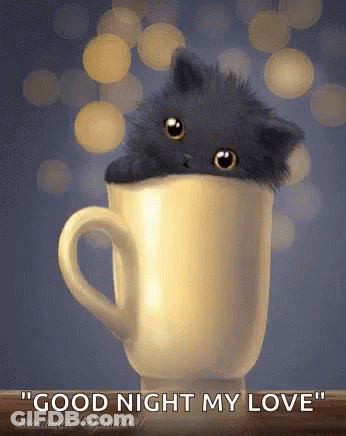 Black Kitten Peeking Out Of Coffee Cup Good Night My Love GIF