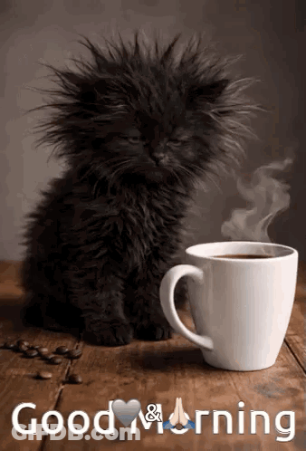 Black Kitten Sitting Next To Cup Of Coffee GIF