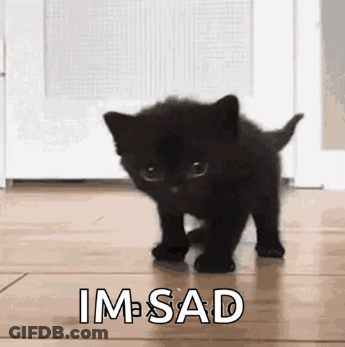 Black Kitten Walking On Floor Saying Im Sad GIF