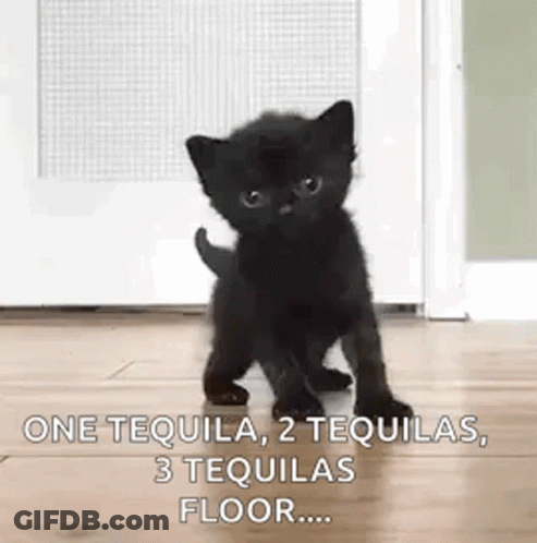 Black Kitten Walking On Wooden Floor Next To Door GIF