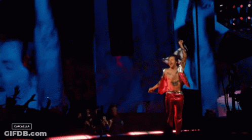 Black Lives Matter Flag Harry Styles GIF