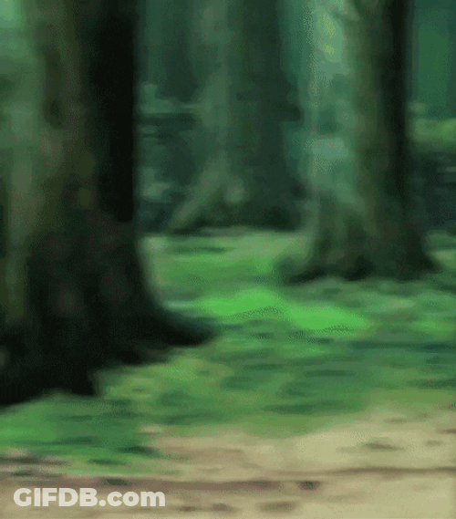 Black Man Like Naruto Running Meme GIF