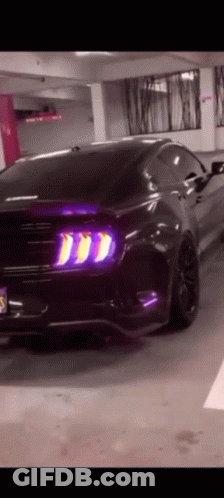 Black Mustang Parked In Garage With Purple Lights GIF